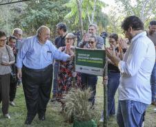 Referência em preservação no Norte do Paraná, Mata dos Godoy reabre após revitalização