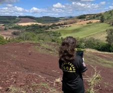 IAT aplica R$ 2,9 milhões em multas ambientais durante a Operação Mata Atlântica em Pé