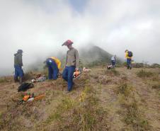 Foto de voluntários em operação