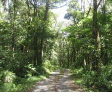 Créditos de Biodiversidade: edital para inscrição de RPPNs vai até 1º de outubro