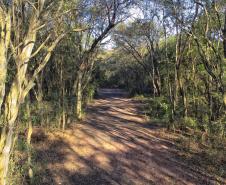 Parque Estadual de Amaporã volta a receber visitantes sem agendamento prévio
