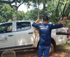 IAT resgata seis aves silvestres de criadouro irregular em Umuarama