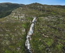 Aventura na mata: cinco trilhas para explorar nas Unidades de Conservação do Paraná