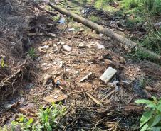 Foto de área multada pelo IAT