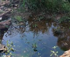 Foto de área multada pelo IAT