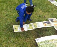 IAT desenvolve ação de educação ambiental em Morretes para o Dia das Crianças
