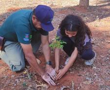 Foto de ação de plantio de mudas do IAT