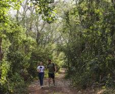 Aventura na mata: cinco trilhas para explorar nas Unidades de Conservação do Paraná