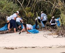 IAT oferece seguro de vida para proteger voluntários que atuam no meio ambiente