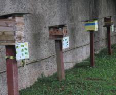 Abelhas sem ferrão transformam escolas do Paraná em laboratórios ambientais
