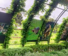 Exposição “Fauna da Mata Atlântica” entra em cartaz no Jardim Botânico de Curitiba