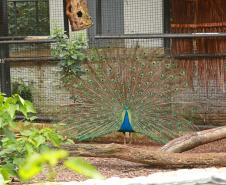 Foto do zoológico de Cascavel