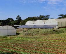 Paraná tem planos estratégicos para agricultura sustentável, segurança hídrica e descarbonização