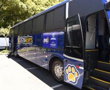 Com previsão de 105 mil castrações, maior ciclo do CastraPet começa nesta quinta