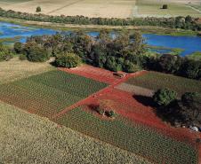 Paraná tem planos estratégicos para agricultura sustentável, segurança hídrica e descarbonização