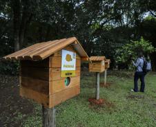 Foto de cerimônia de instalação de meliponários