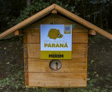 Foto de cerimônia de instalação de meliponários