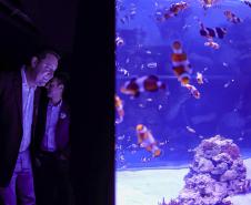 Novo atrativo: Foz do Iguaçu ganha um dos maiores aquários da América do Sul