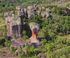 Foto de Unidade de Conservação Paranaense