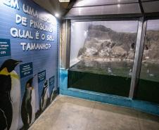 Aquário de Paranaguá terá novos animais e atrações especiais para a temporada