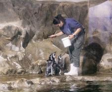 Aquário de Paranaguá terá novos animais e atrações especiais para a temporada