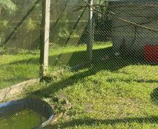 Foto de estrutura do PAAS Litoral