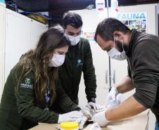 Foto de tratamento no PAAS Litoral