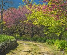 Foto de áreas preservadas paranaenses