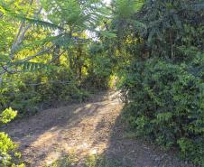 Foto de áreas preservadas paranaenses