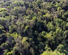Foto de áreas preservadas paranaenses