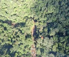 Decreto amplia a área do Parque Estadual Roberto Ribas Lange, em Antonina e Morretes