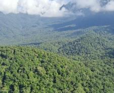 Decreto amplia a área do Parque Estadual Roberto Ribas Lange, em Antonina e Morretes