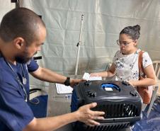 Foto de ação do Castrapet Paraná