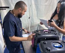 Foto de ação do Castrapet Paraná