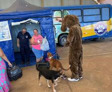 Foto de ação do Castrapet Paraná