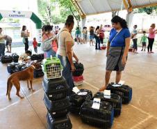 Foto de ação do Castrapet Paraná