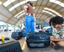Foto de ação do Castrapet Paraná