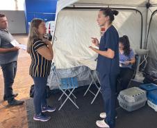 De Umuarama a Pranchita: Estado retoma CastraPet em 42 municípios em janeiro