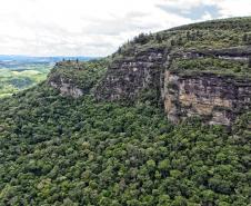 Indenização da Petrobras: Paraná avança na execução de R$ 639,5 milhões em projetos ambientais