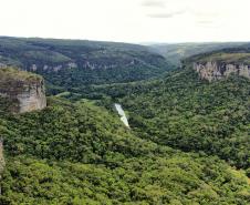 Indenização da Petrobras: Paraná avança na execução de R$ 639,5 milhões em projetos ambientais