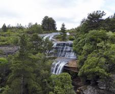 Verão na natureza: 5 cachoeiras para conhecer nas Unidades de Conservação do Paraná