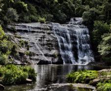 Foto de parque estadual do Paraná