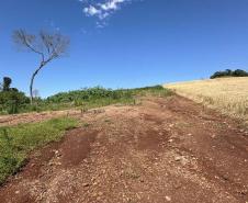 Com aumento da fiscalização, IAT aplica 8,1 mil multas por crimes ambientais em 2025