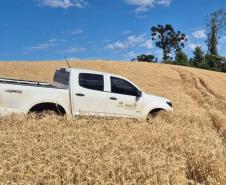 Com aumento da fiscalização, IAT aplica 8,1 mil multas por crimes ambientais em 2025