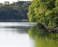 Foto de paisagem natural paranaense