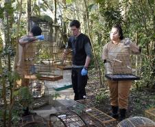 Recorde: IAT prestou atendimento a 4.552 animais silvestres em 2025