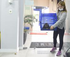 Recorde: IAT prestou atendimento a 4.552 animais silvestres em 2025