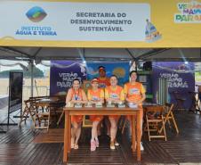 IAT tem nova programação no Verão Maior Paraná a partir da próxima semana