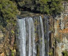 Verão na natureza: 5 cachoeiras para conhecer nas Unidades de Conservação do Paraná