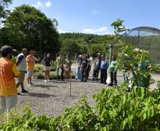 Foto de ação educativa do Um dia no Viveiro
